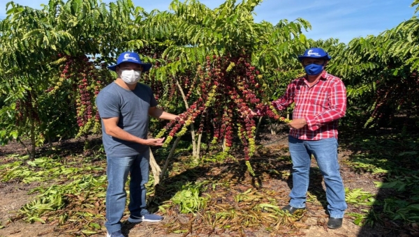 Deputado Roberto Duarte vai à Acrelândia conhecer cultivo de café clonal